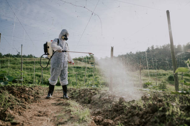 Best Best Pest Control Companies  in Butler, AL