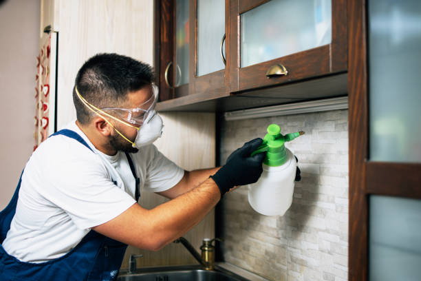 Best Insect Control  in Butler, AL