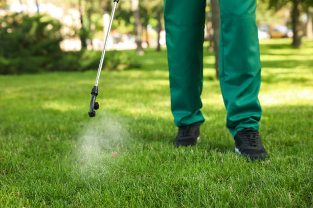 Best Termite Control Services  in Butler, AL