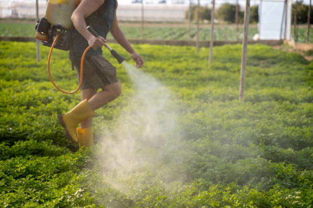 Best Residential Pest Control  in Butler, AL