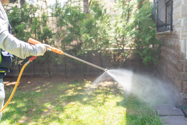 Best Bird Control  in Butler, AL