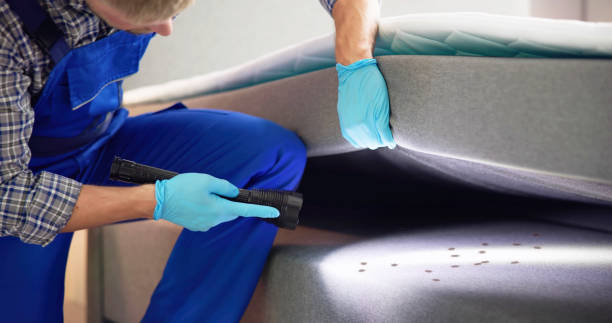 Best Flea Control Services  in Butler, AL