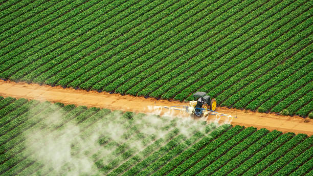 Best Best Pest Control Companies  in Butler, AL