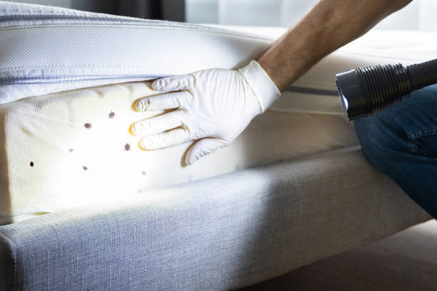 Best Pest Control Near Me  in Butler, AL