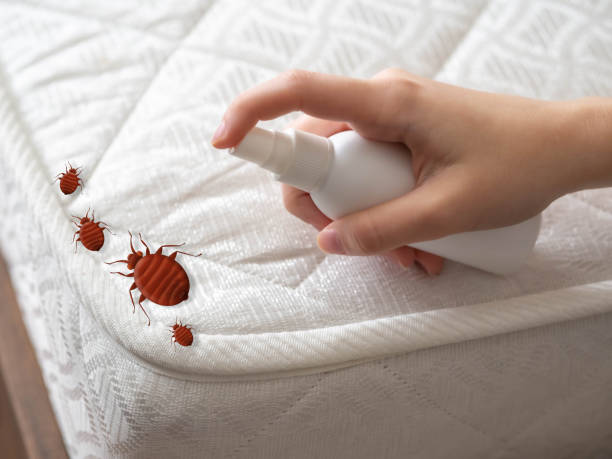 Best Emergency Pest Control  in Butler, AL