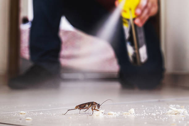 Best Insect Control  in Butler, AL